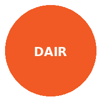 Dairy